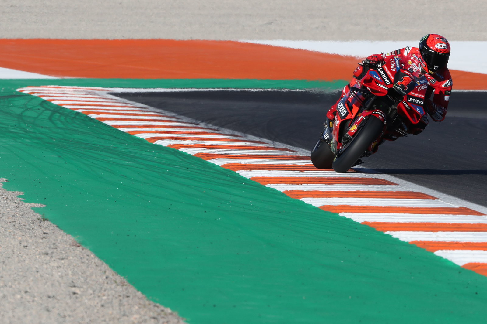 Francesco Bagnaia, 2023 MotoGP Valencia Grand Prix. - Gold and Goose
