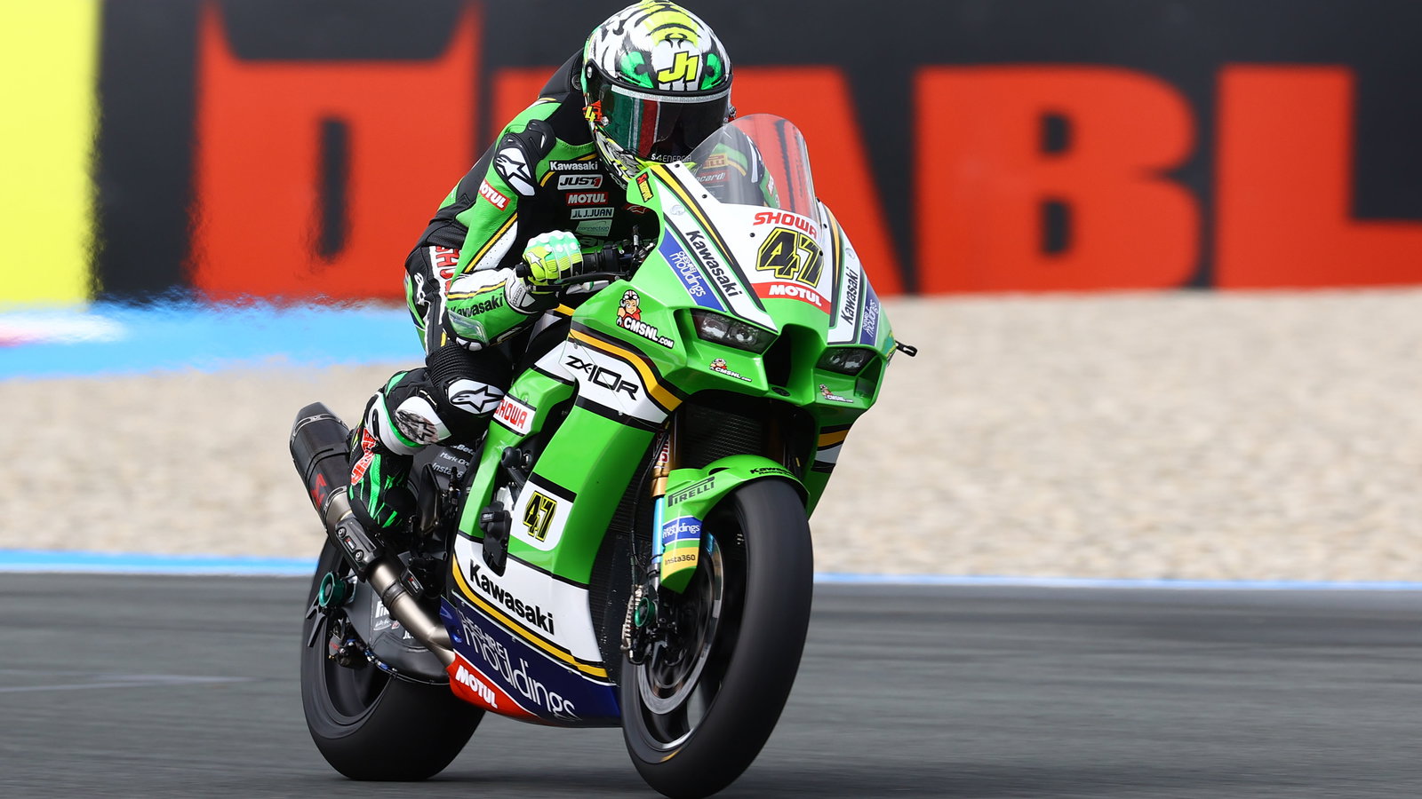 Axel Bassani, 2024 Dutch WorldSBK. - Gold and Goose