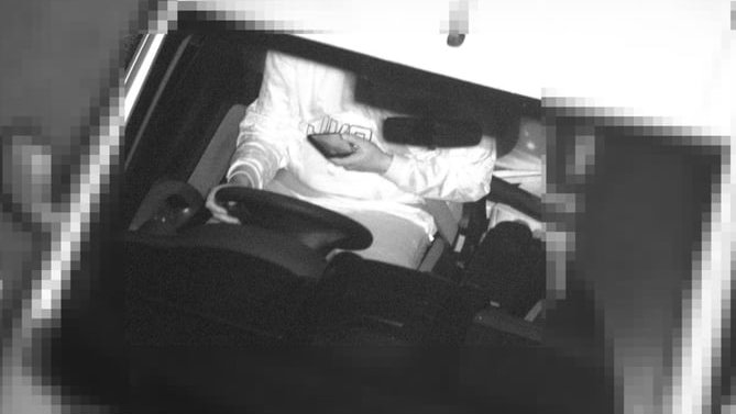 The kind of image the new cameras can take