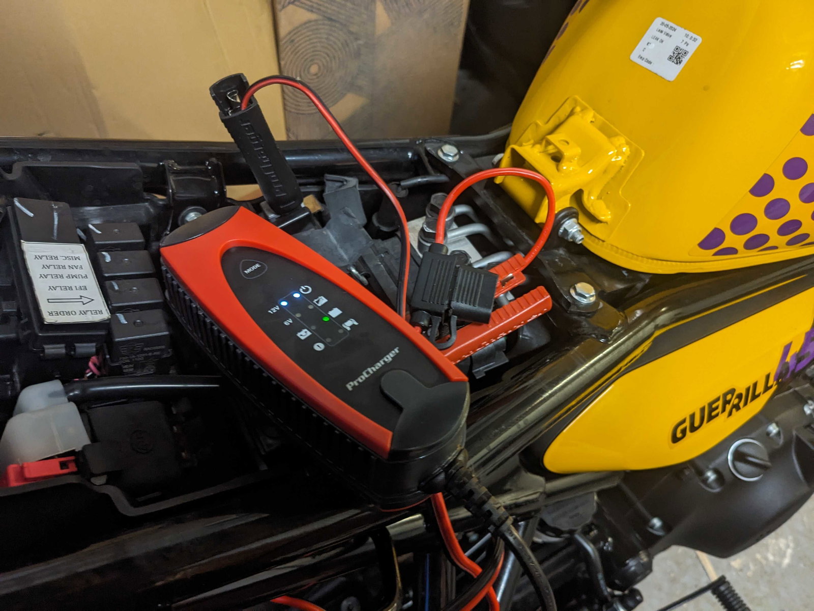 Procharger 1.000