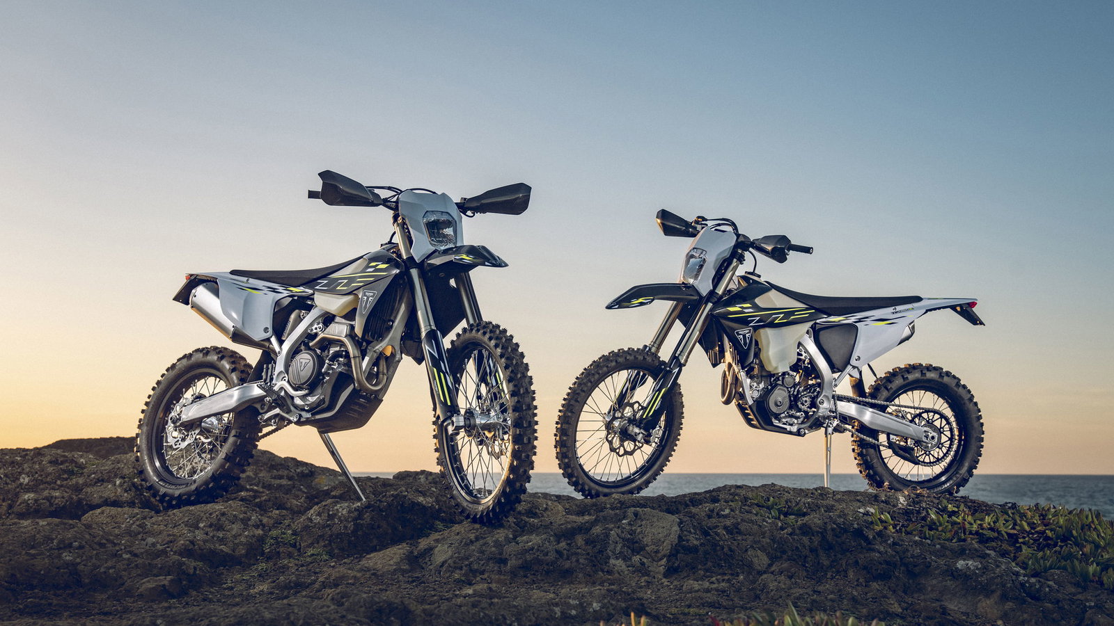 Triumph Enduro Models