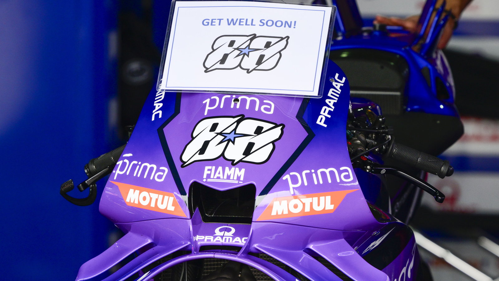 Credit; Gold and Goose