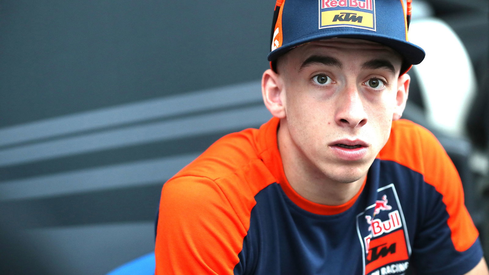 Credit; Gold and Goose