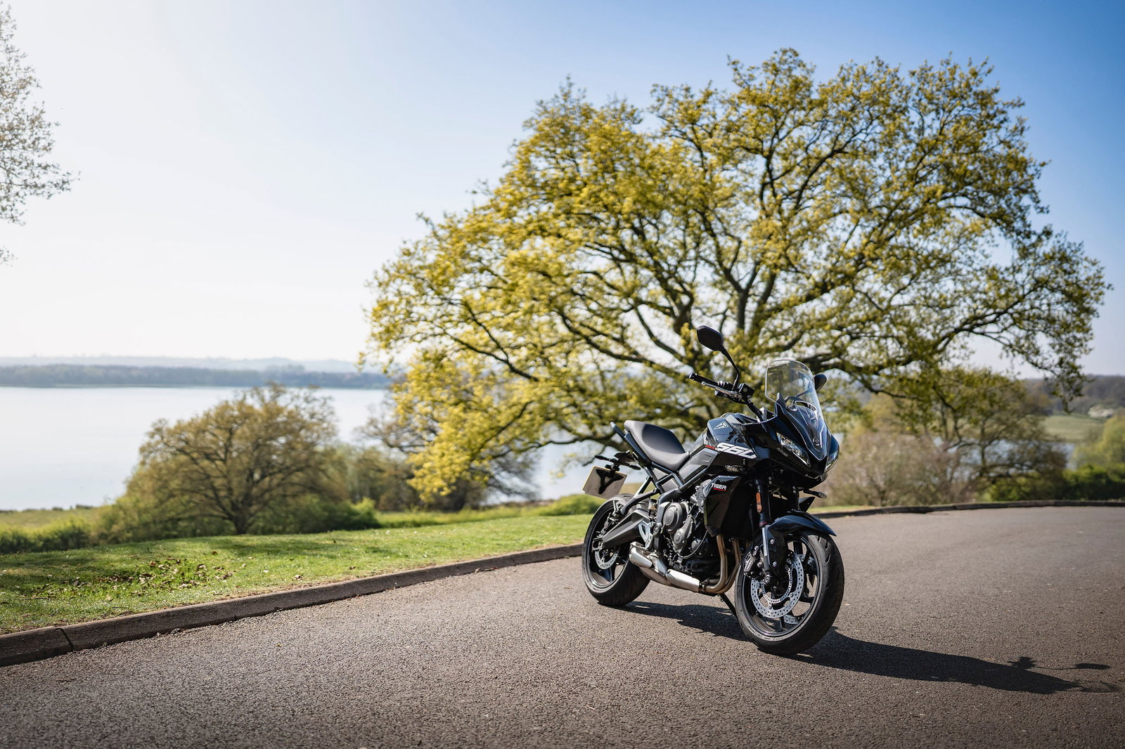 Tiger Sport 660 - static