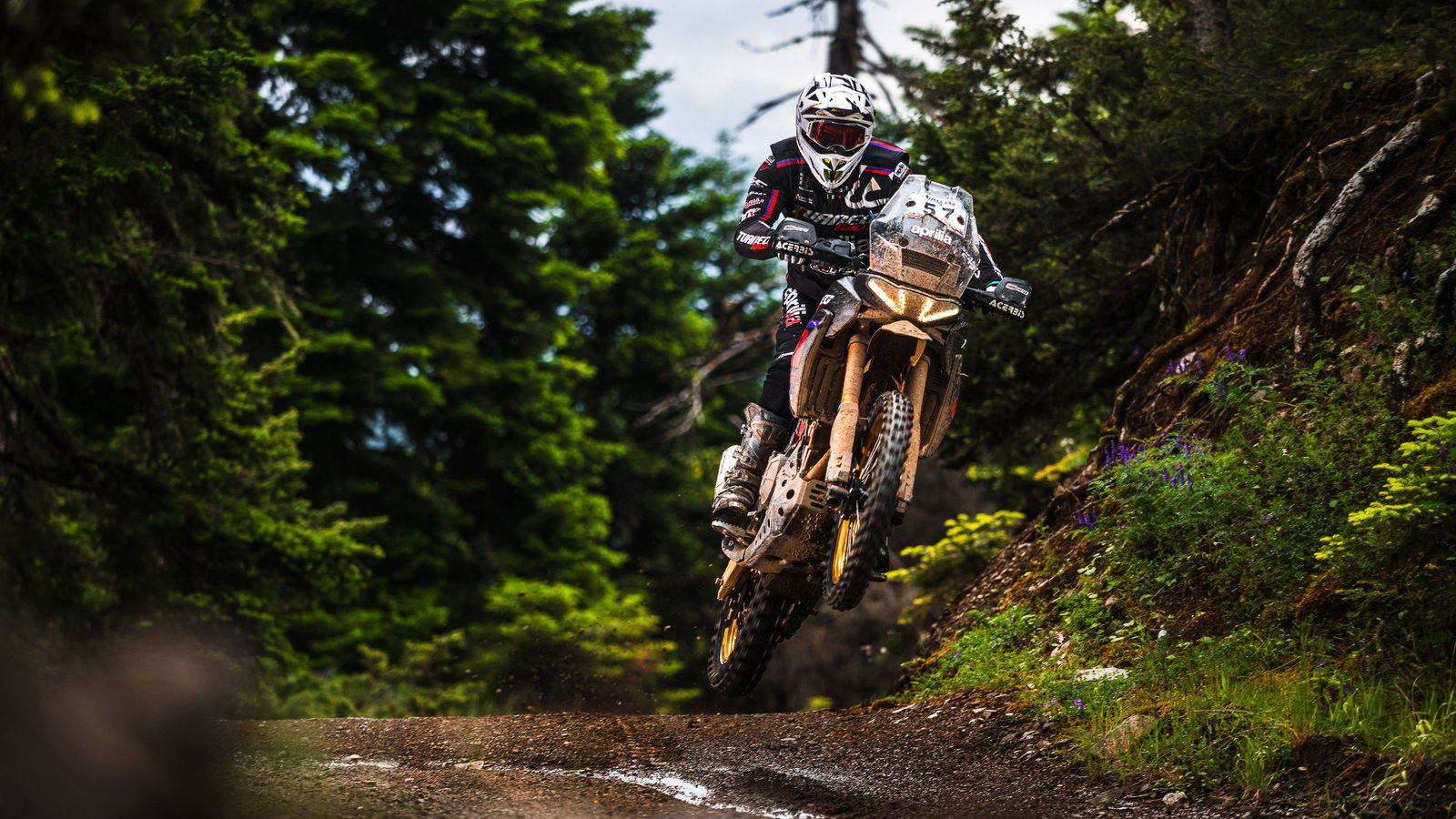 The Aprilia Tuareg 660