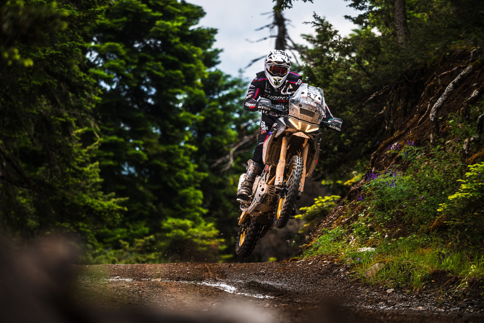 The Aprilia Tuareg 660