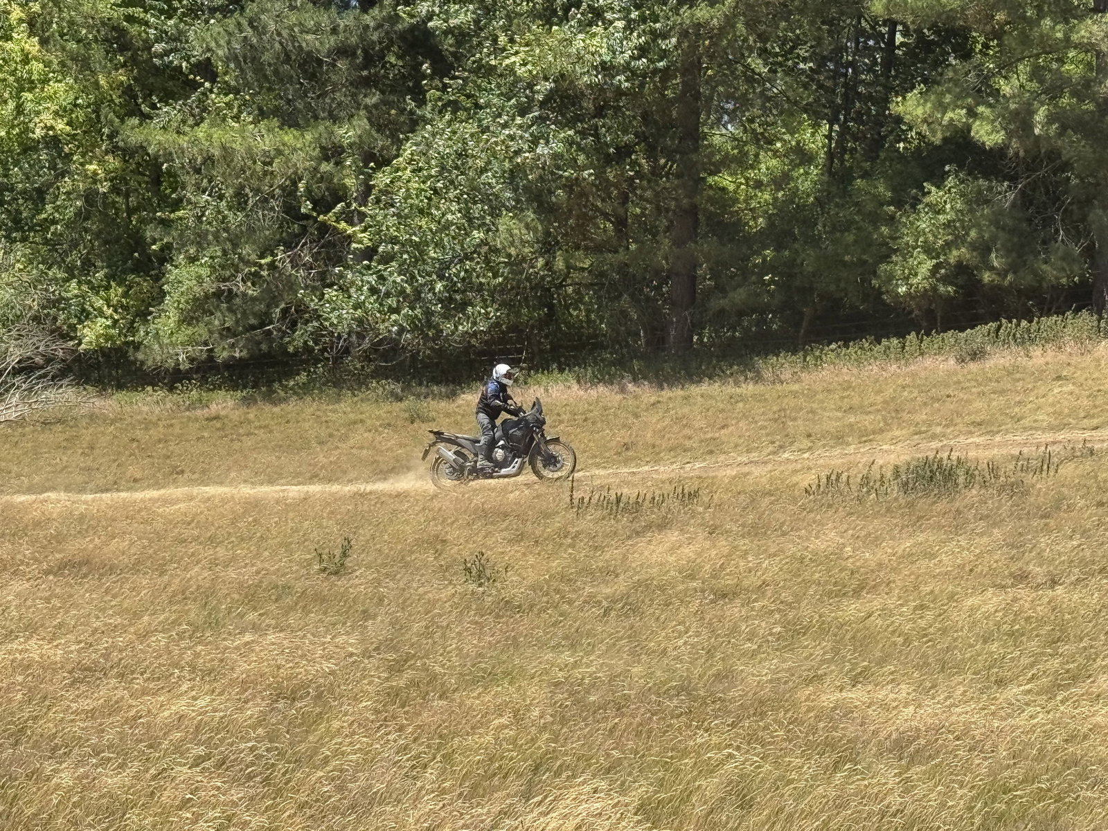 The Voge DS800X Rally - riding