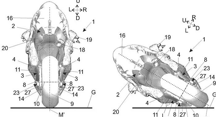 The bike on a straight and when leaning into a corner