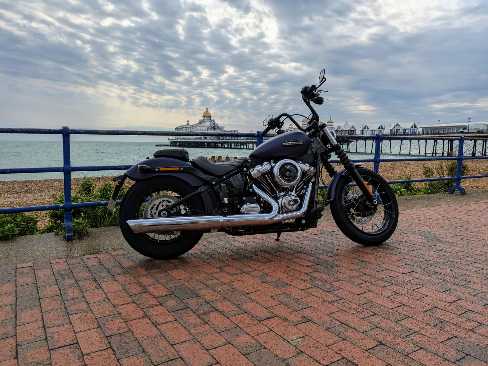 2025 Harley-Davidson Street Bob