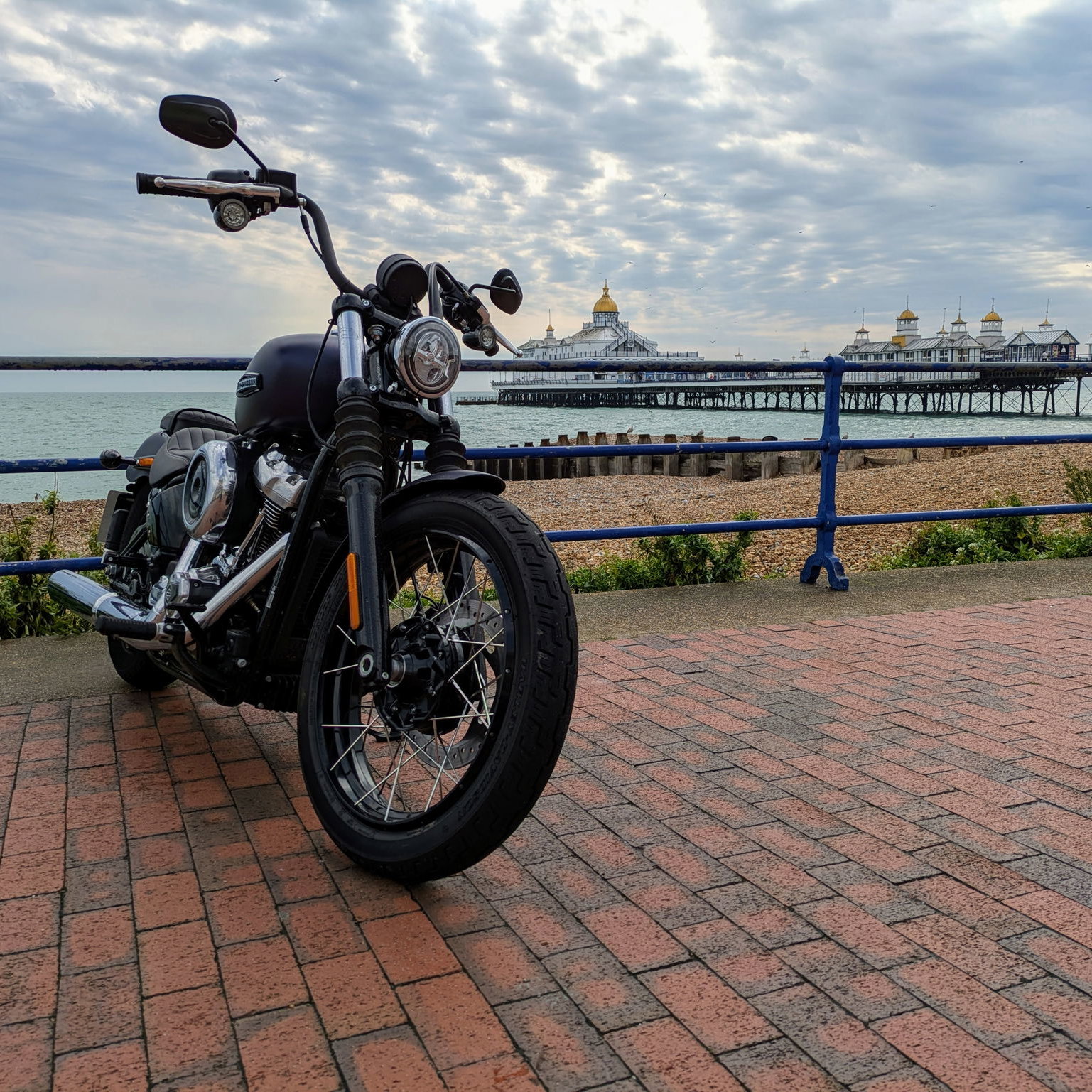 2025 Harley-Davidson Street Bob