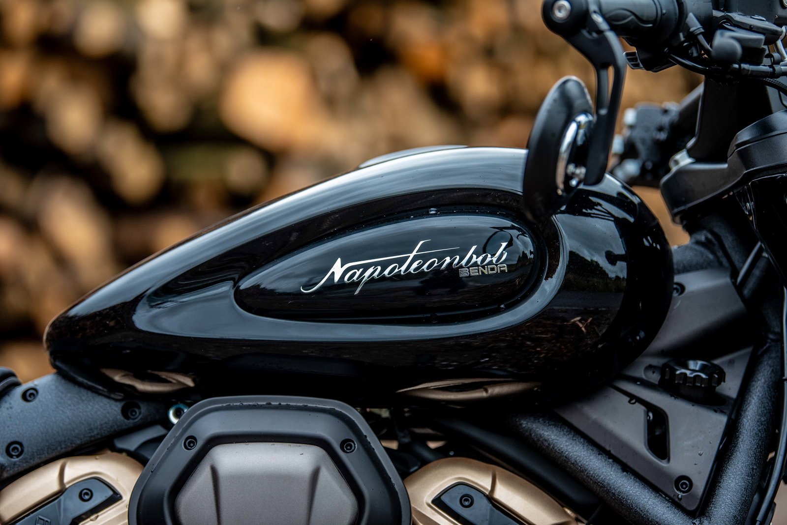 The Benda Napoleonbob 500 - detail