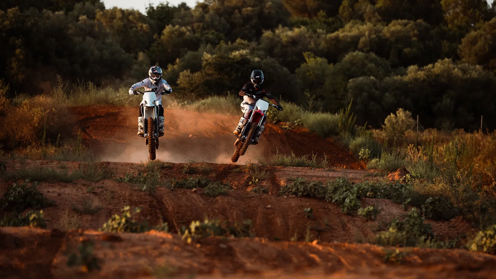 Stark motocross bikes