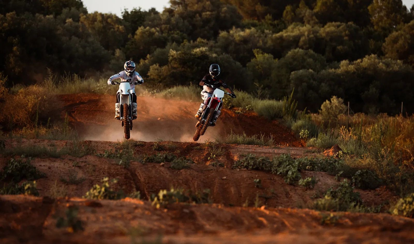 Stark motocross bikes