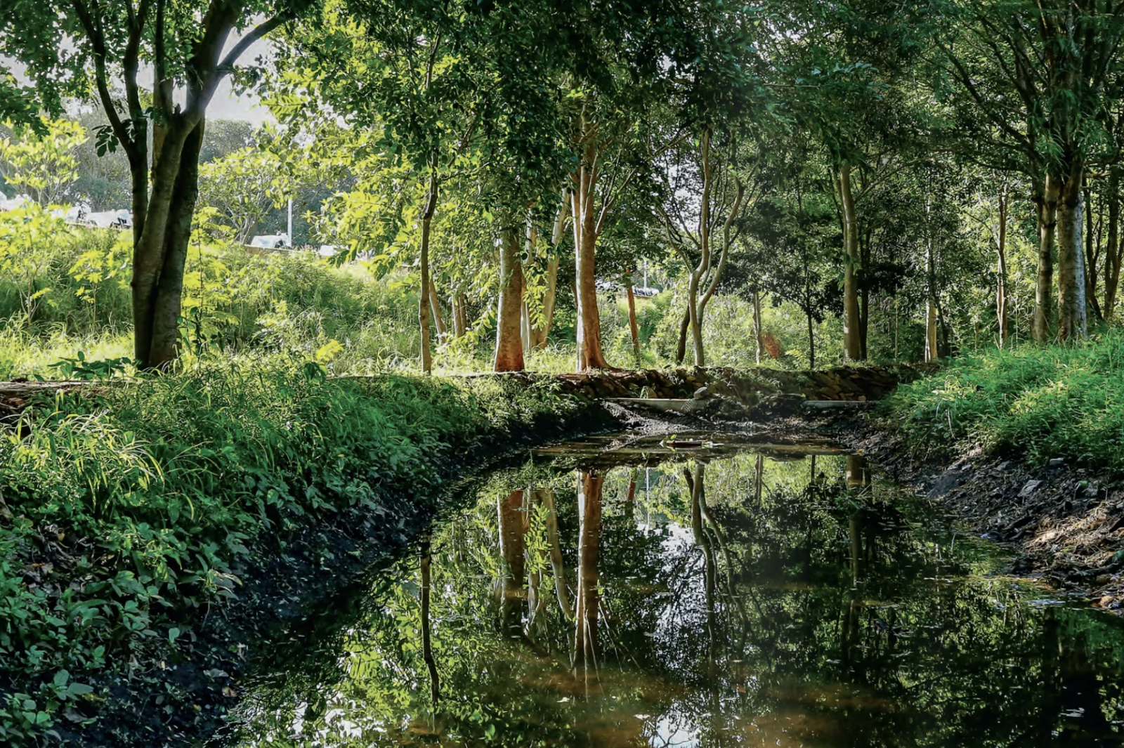 The TVS Eco Park at Hosur