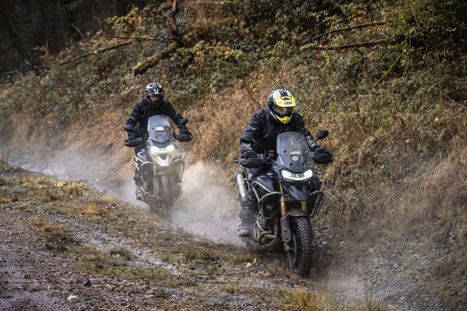 A Tiger 1200 at the TAE