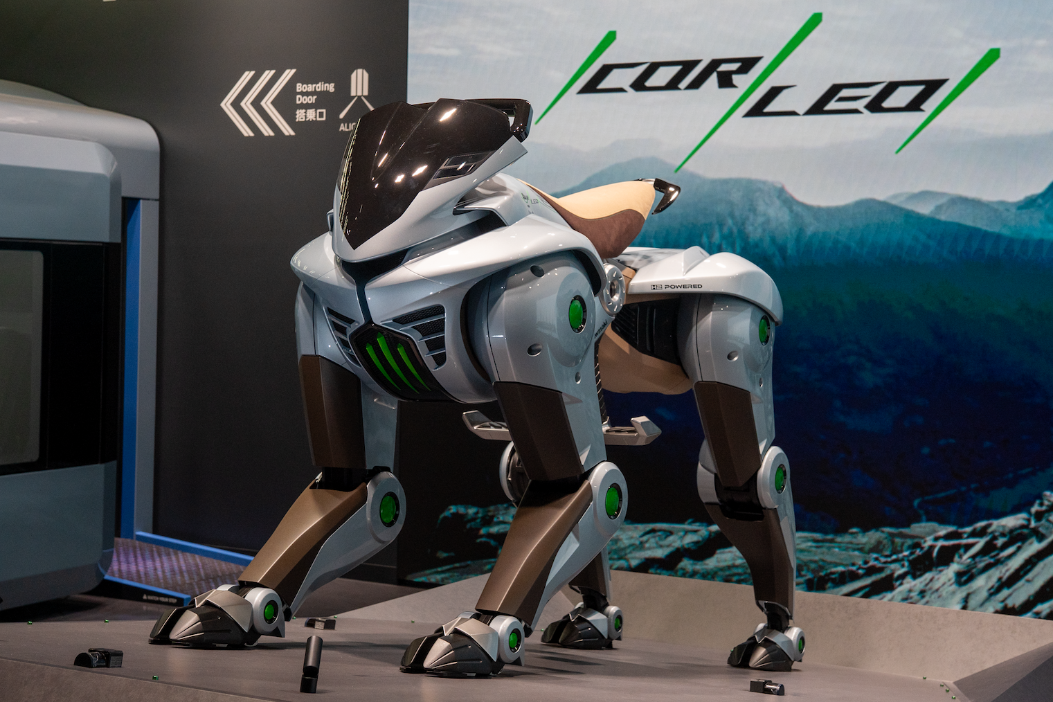 The Kawasaki Corleo Concept