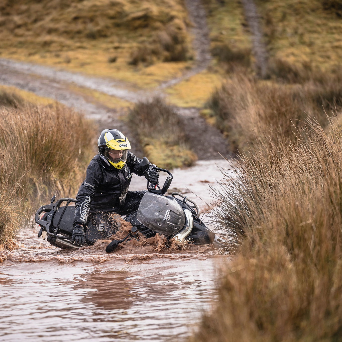 Going, going... gone.