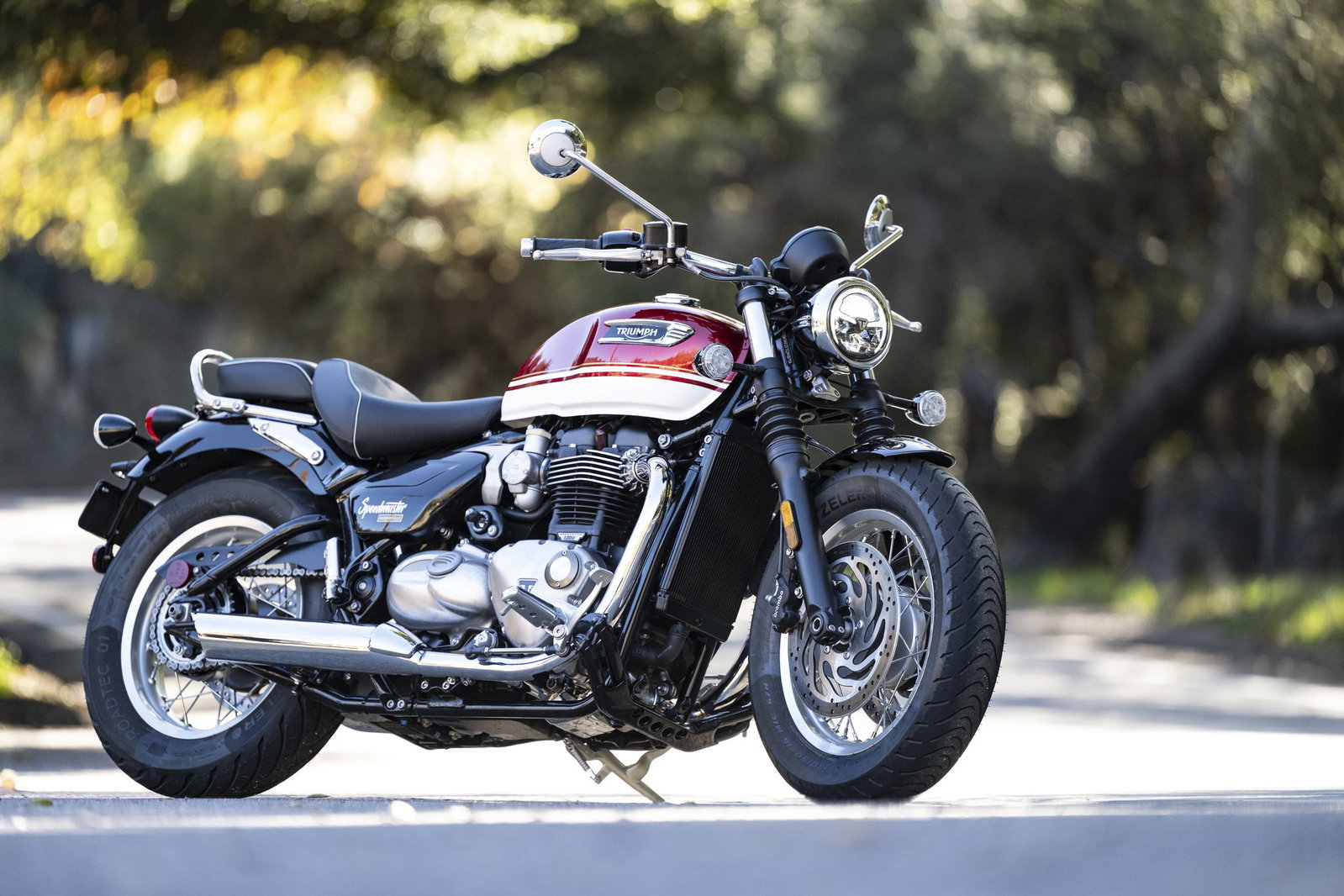 2026 Triumph Speedmaster - static