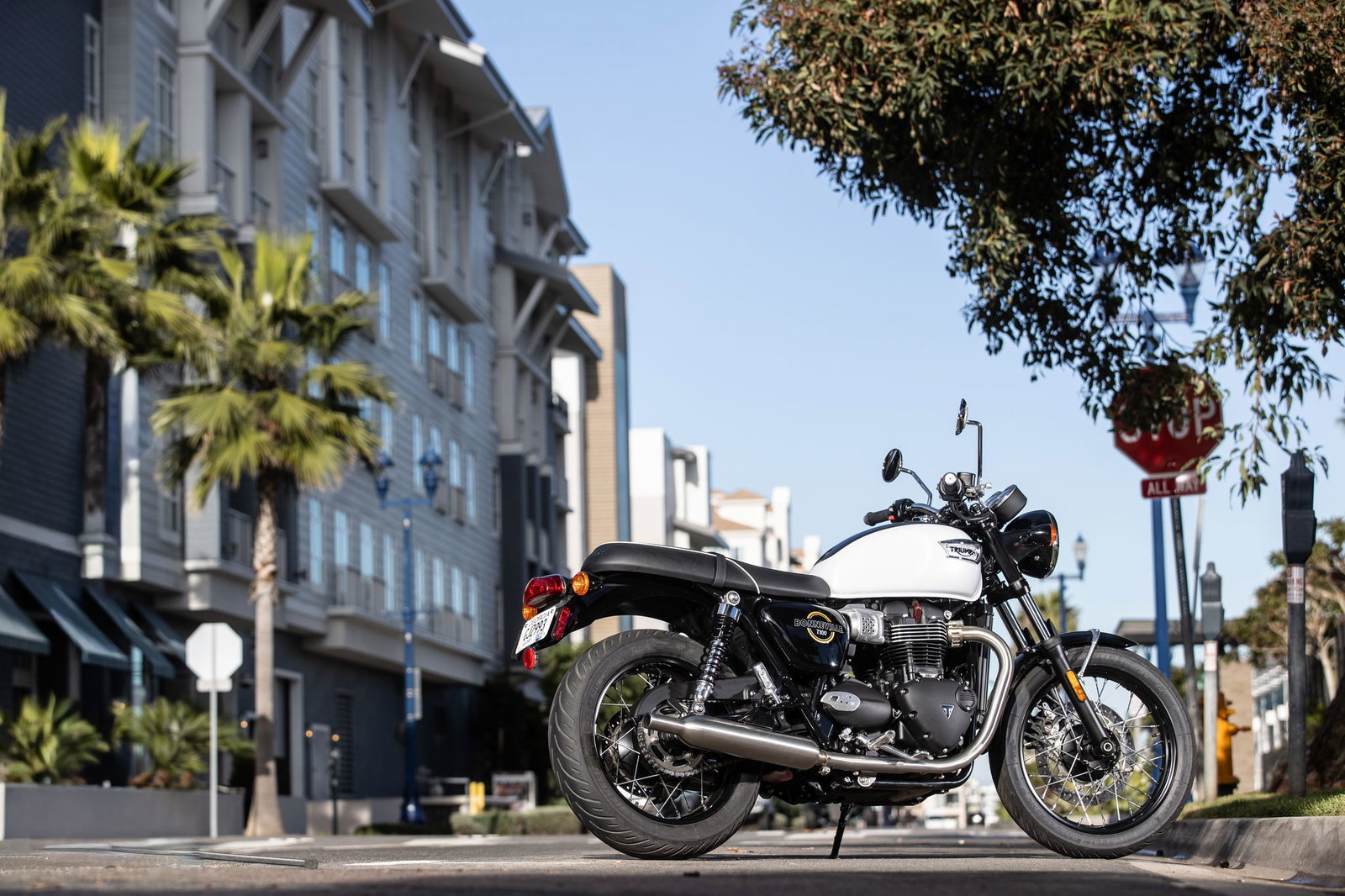 The Triumph Bonneville T100 (2026) - static