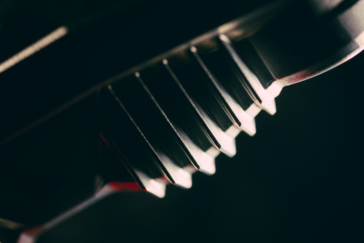 Some of the details of a WP brake caliper