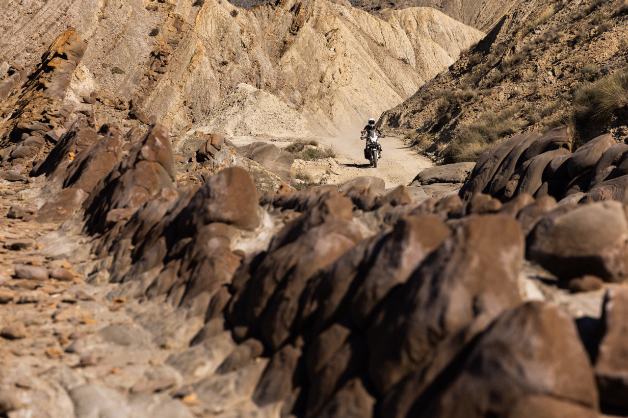 The 2026 Kawasaki KLE500 - riding