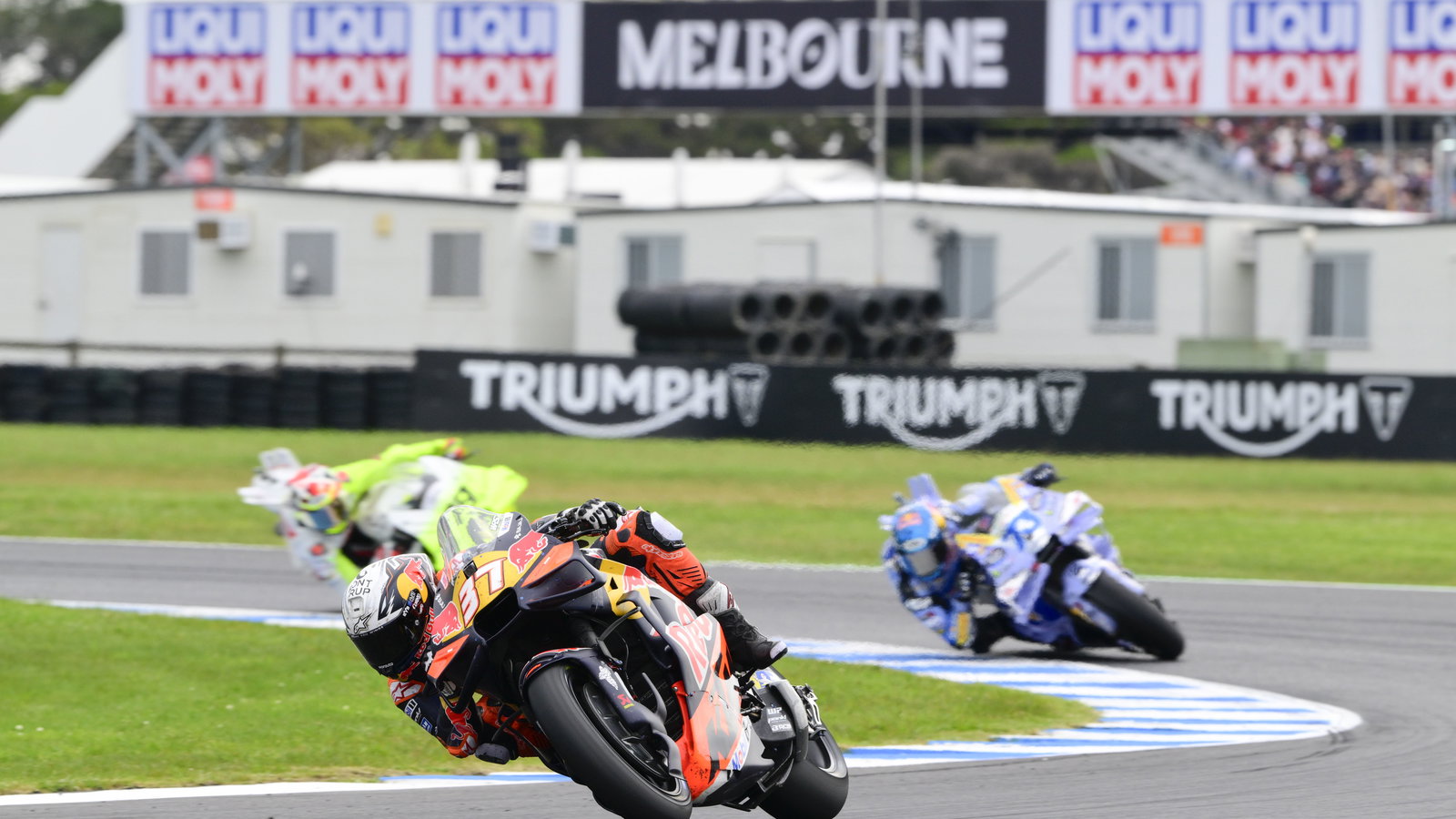 Pedro Acosta, 2025 MotoGP Australian Grand Prix. Credit: Gold and Goose.