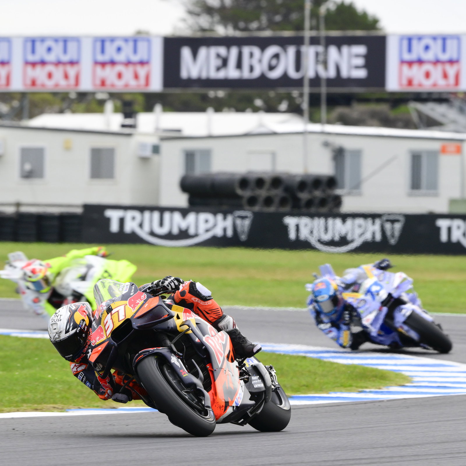 Pedro Acosta, 2025 MotoGP Australian Grand Prix. Credit: Gold and Goose.