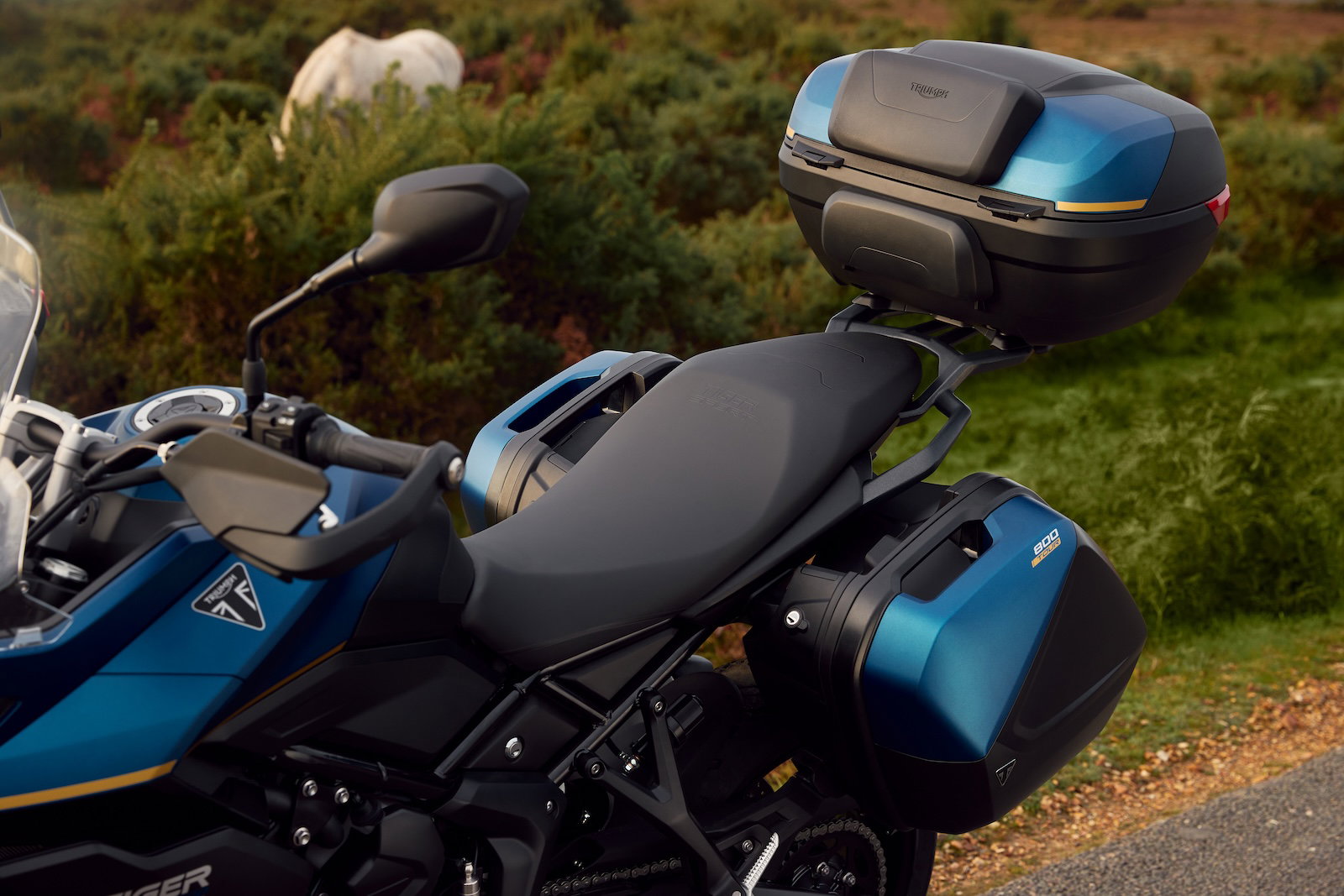 Riding with a pillion