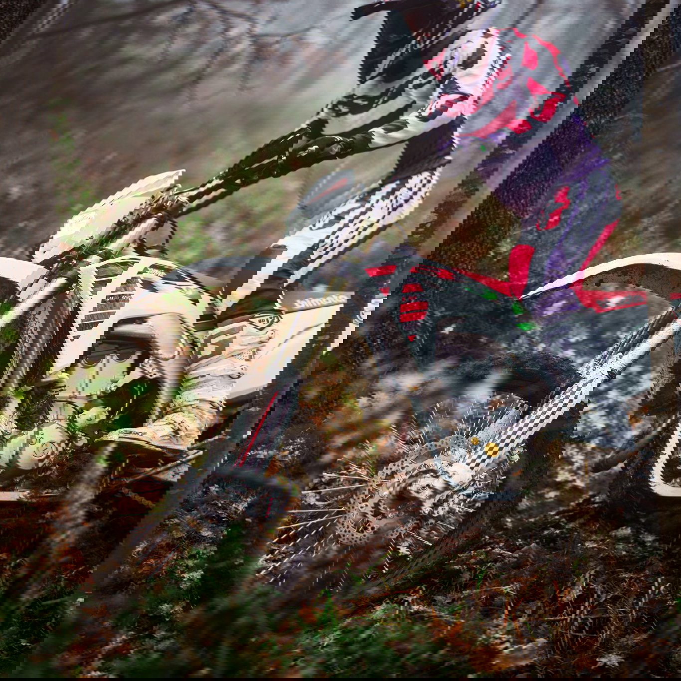 Bimota BX450. Credit: Bimota.