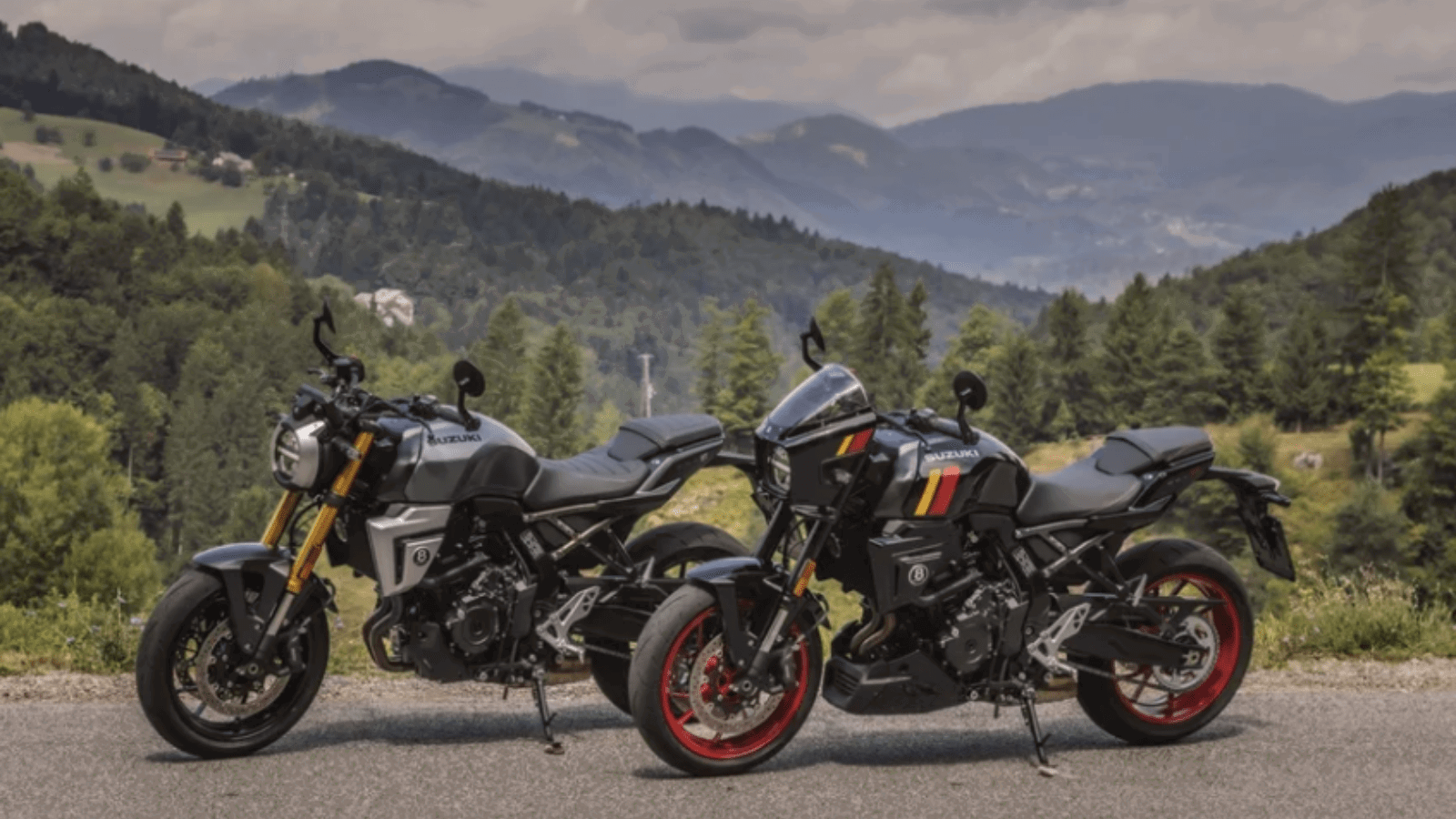 Suzuki GSX-8T and GSX-8TT motorcycles