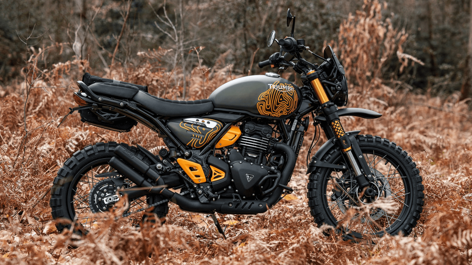 Triumph Scrambler 400 Escape. Photo credit - FCR Original