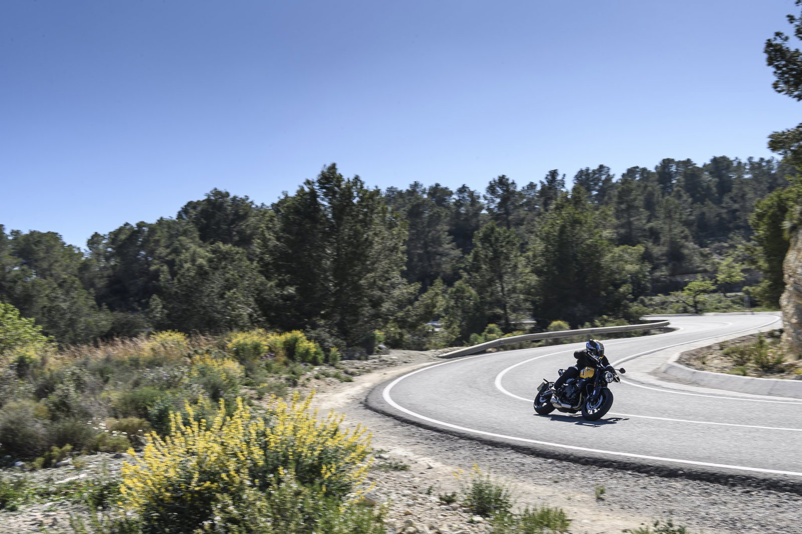 The 2026 Triumph Trident 660