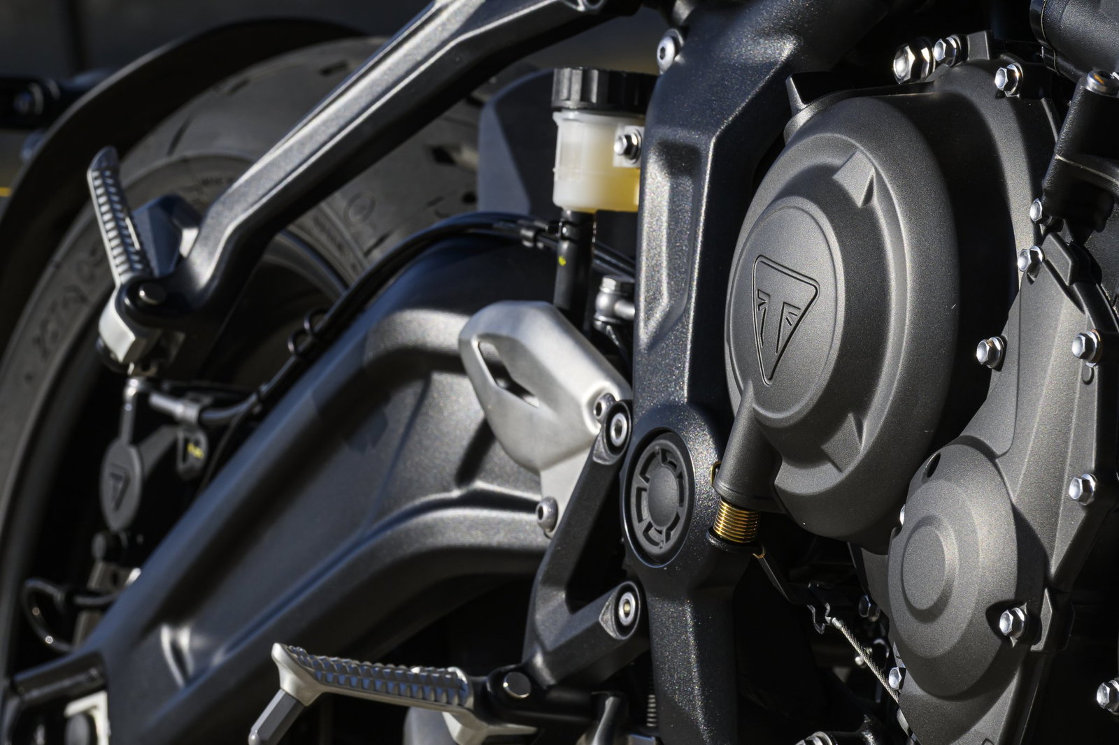 The 2026 Triumph Trident 660