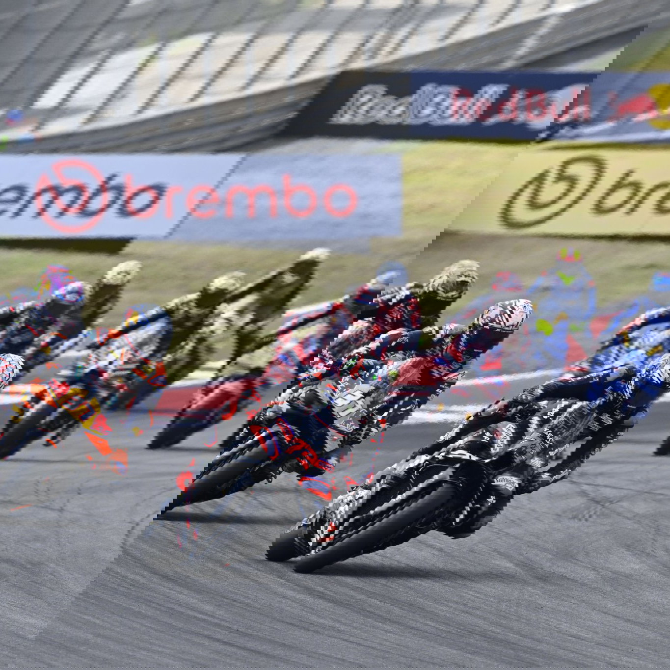 MotoGP race at COTA, United States. Photo credit - Gold and Goose