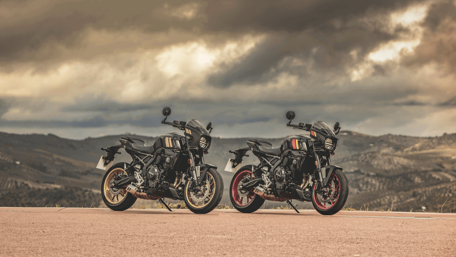 Suzuki GSX-8TT motorcycles