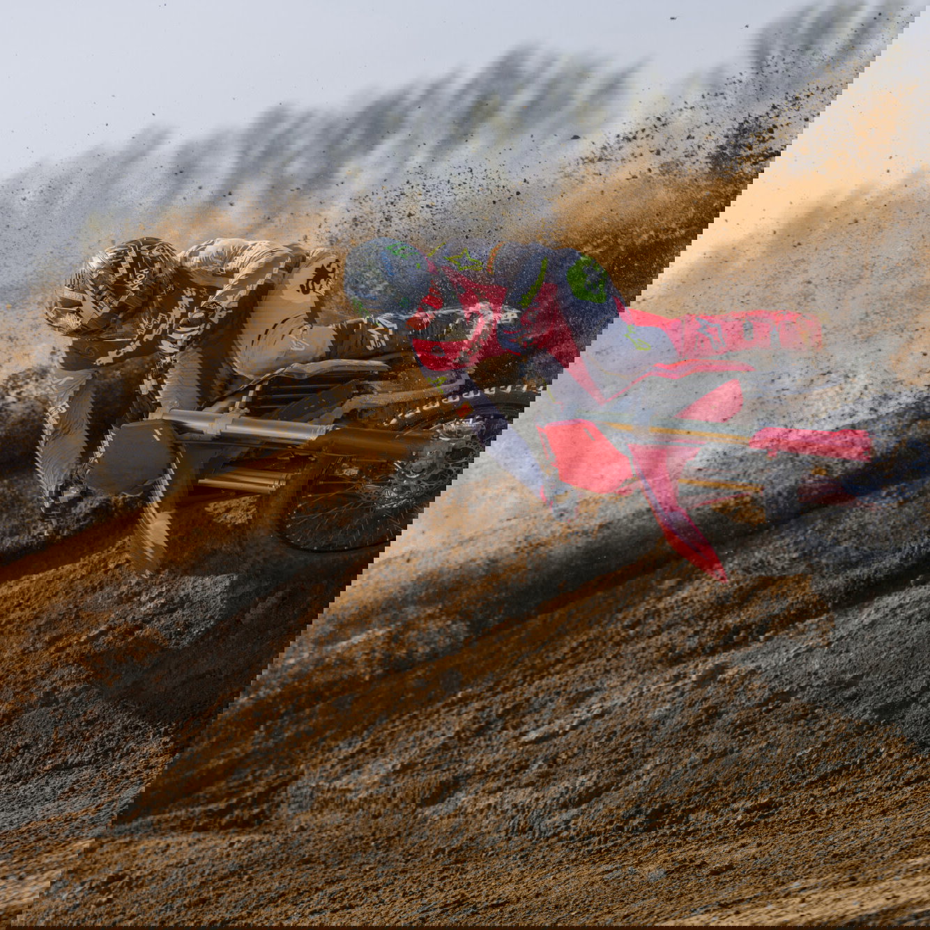 The Ducati Desmo450 MX