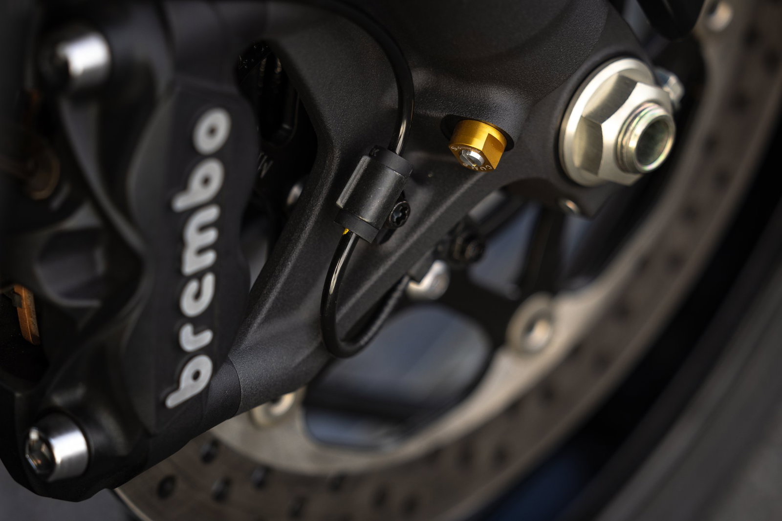 The Suzuki GSX-S1000 - detail - Brembo brakes