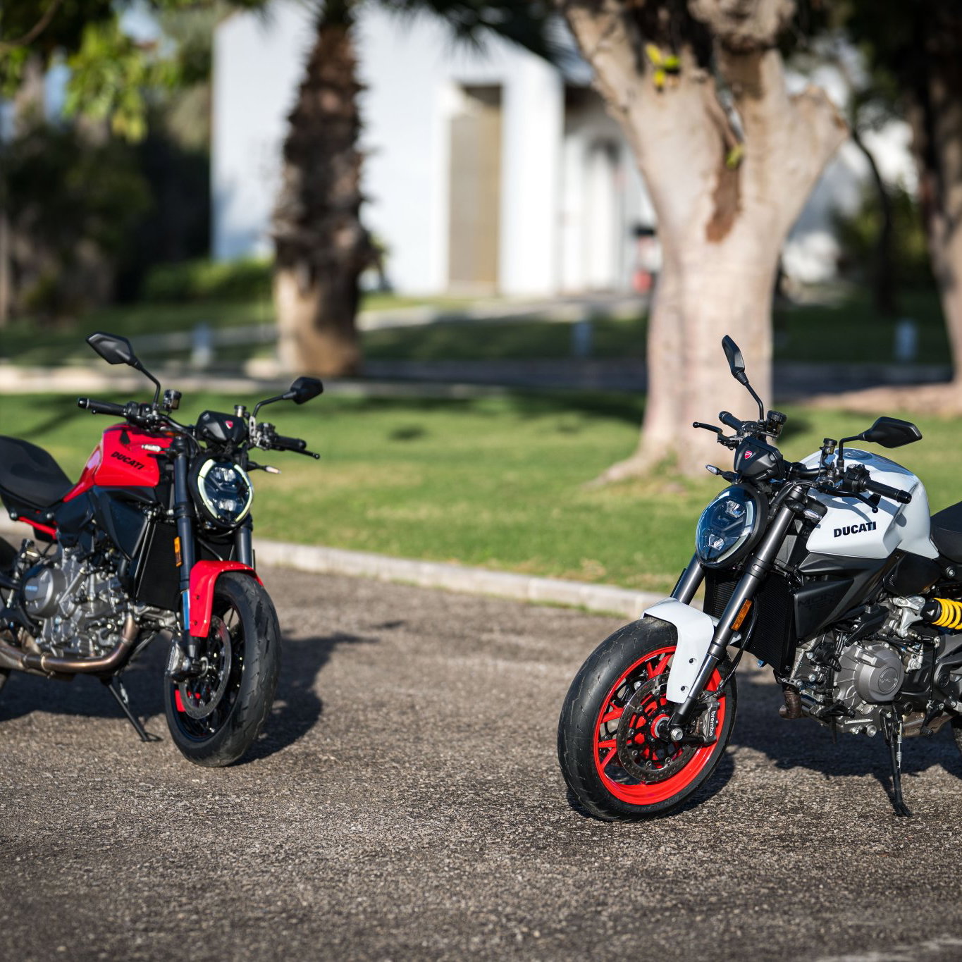 2026 Ducati Monster V2 bikes. 