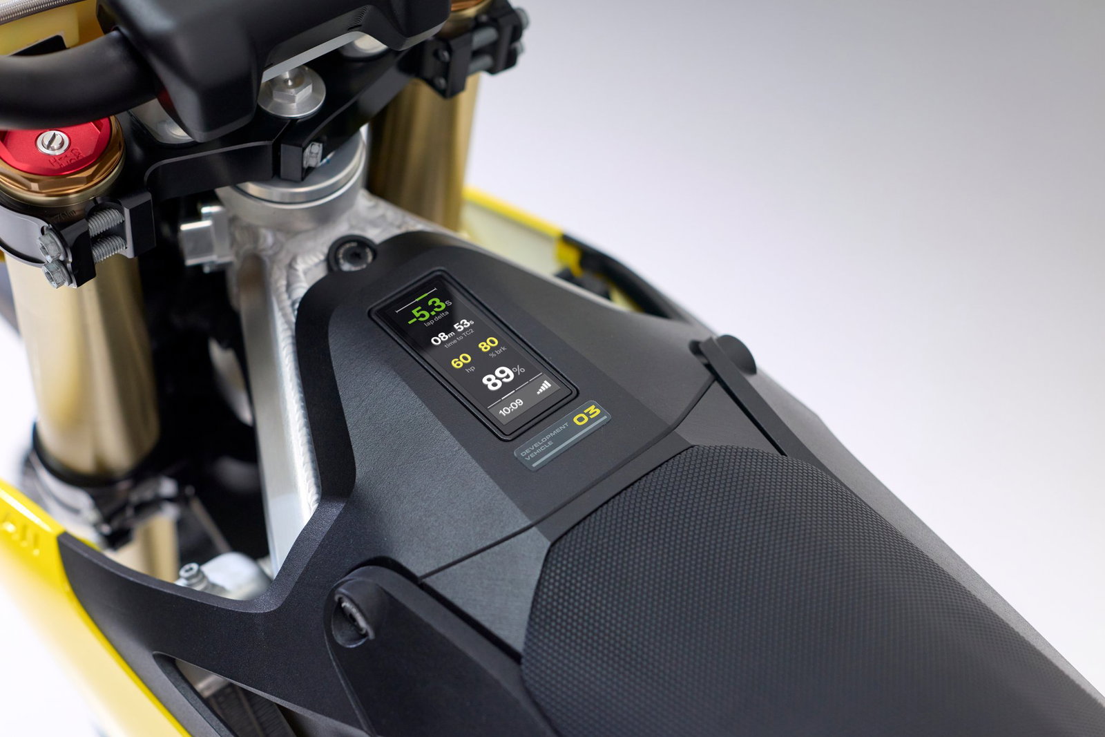 The battery monitoring system of the Radian EXR