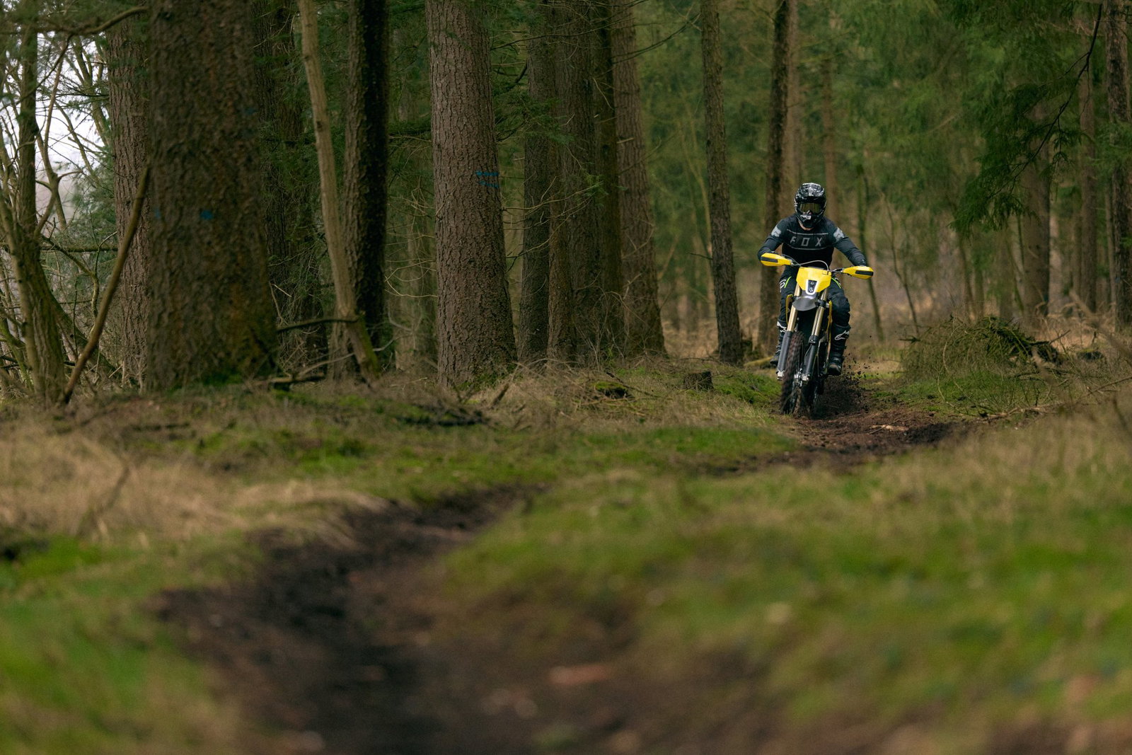 Riding the Radian EXR in the woods