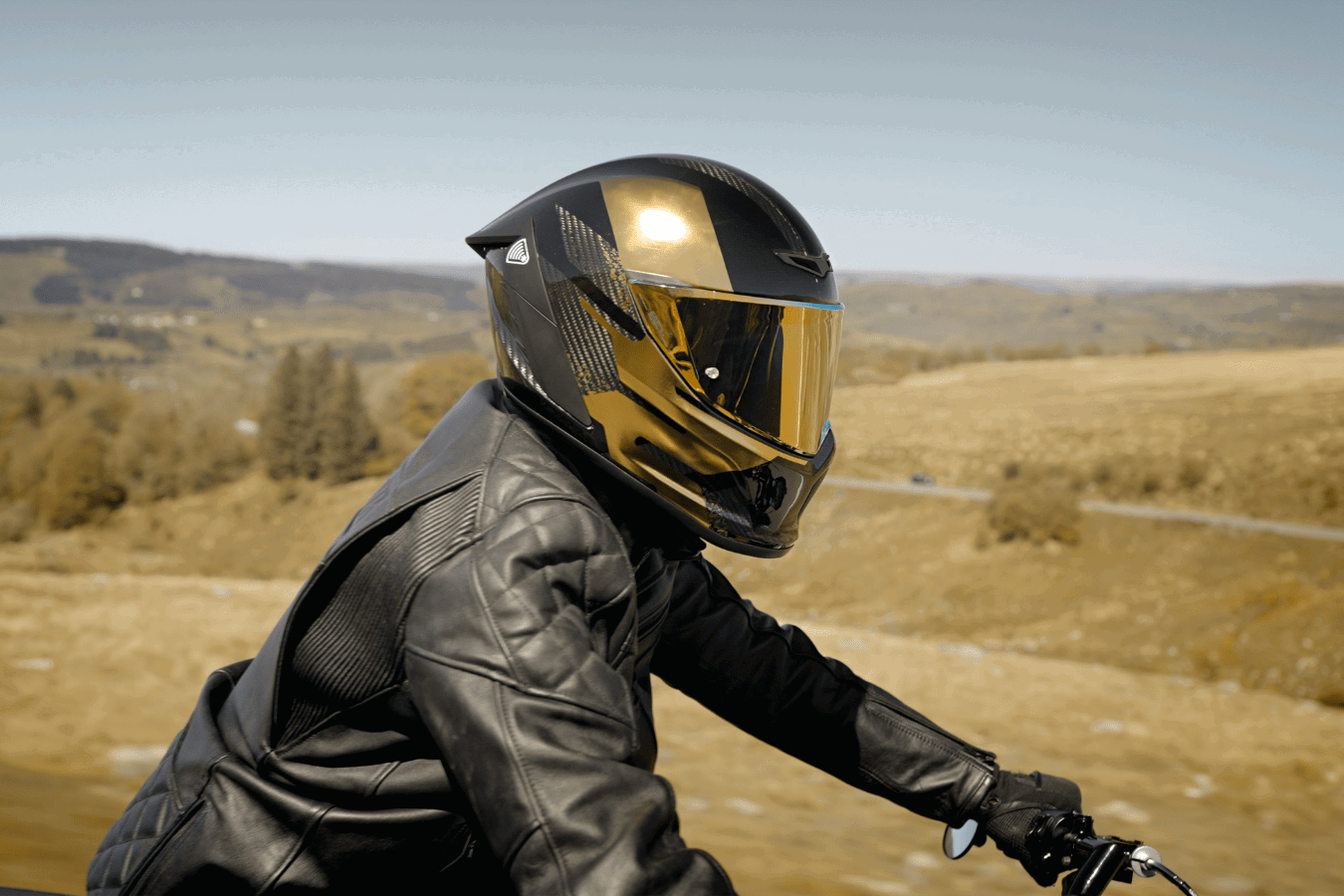 Ruroc EOX2.0 Pulse Gold. 