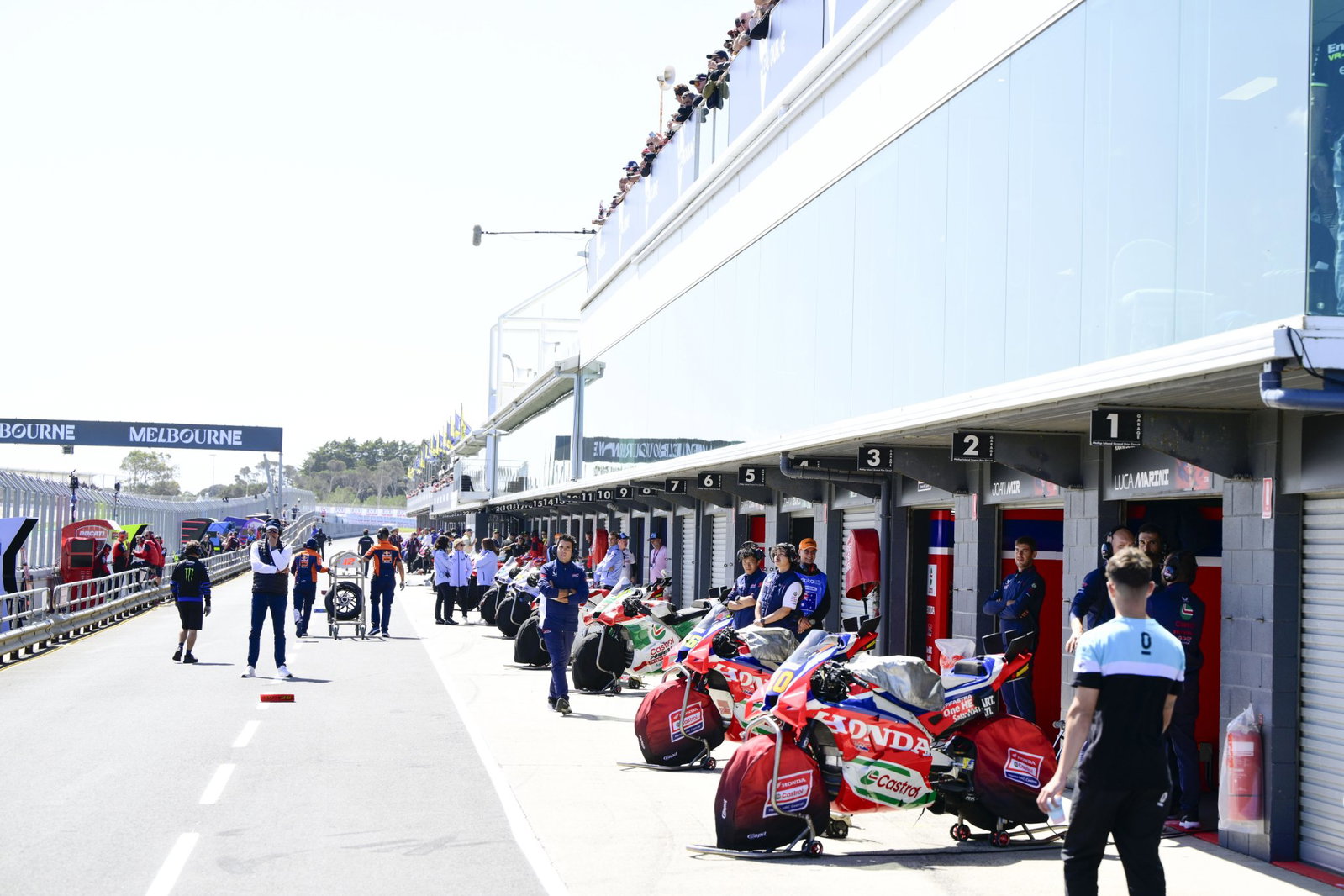 MotoGP bikes at Phillip Island. Credit: Gold and Goose.