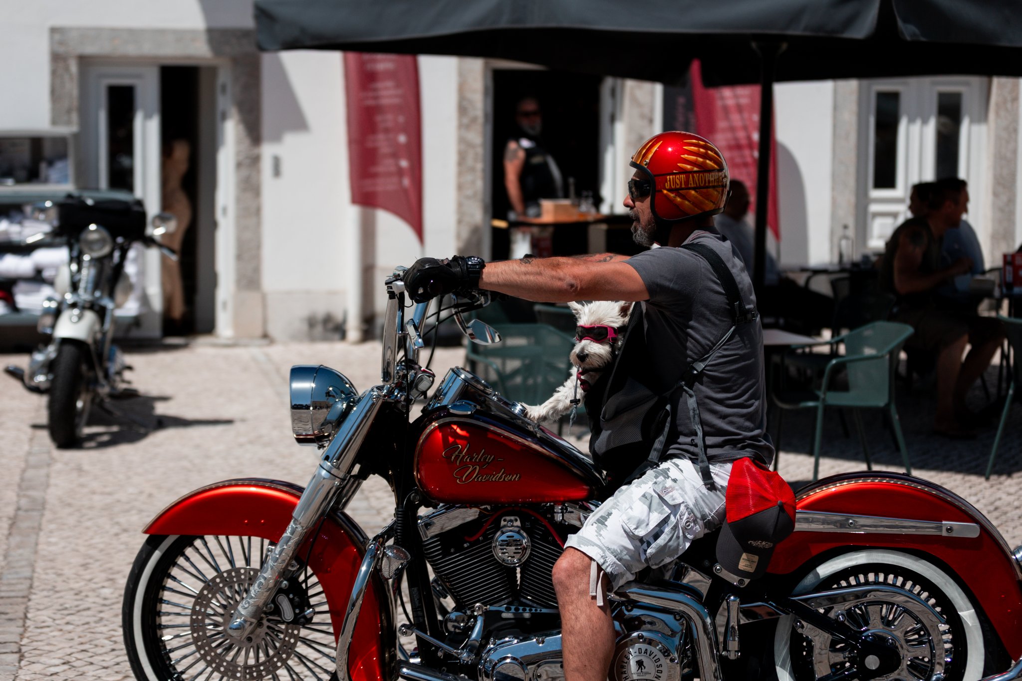 Harley-Davidson motorcycle at the European H.O.G Rally.