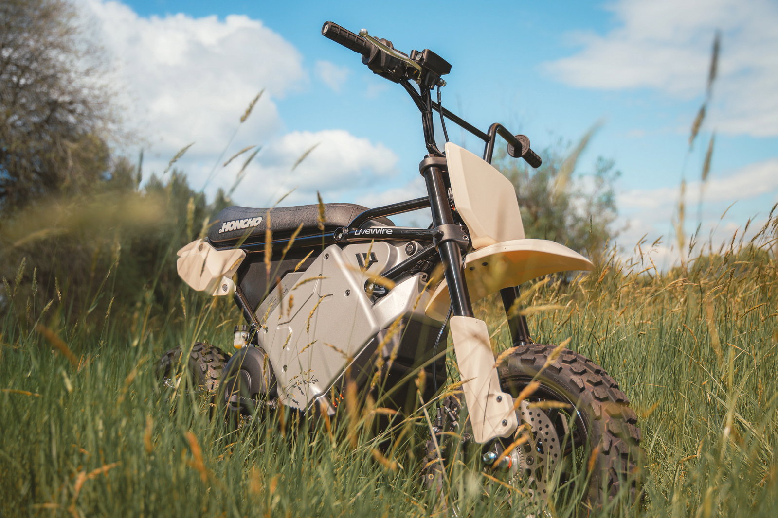 The LiveWire S4 Honcho Trail