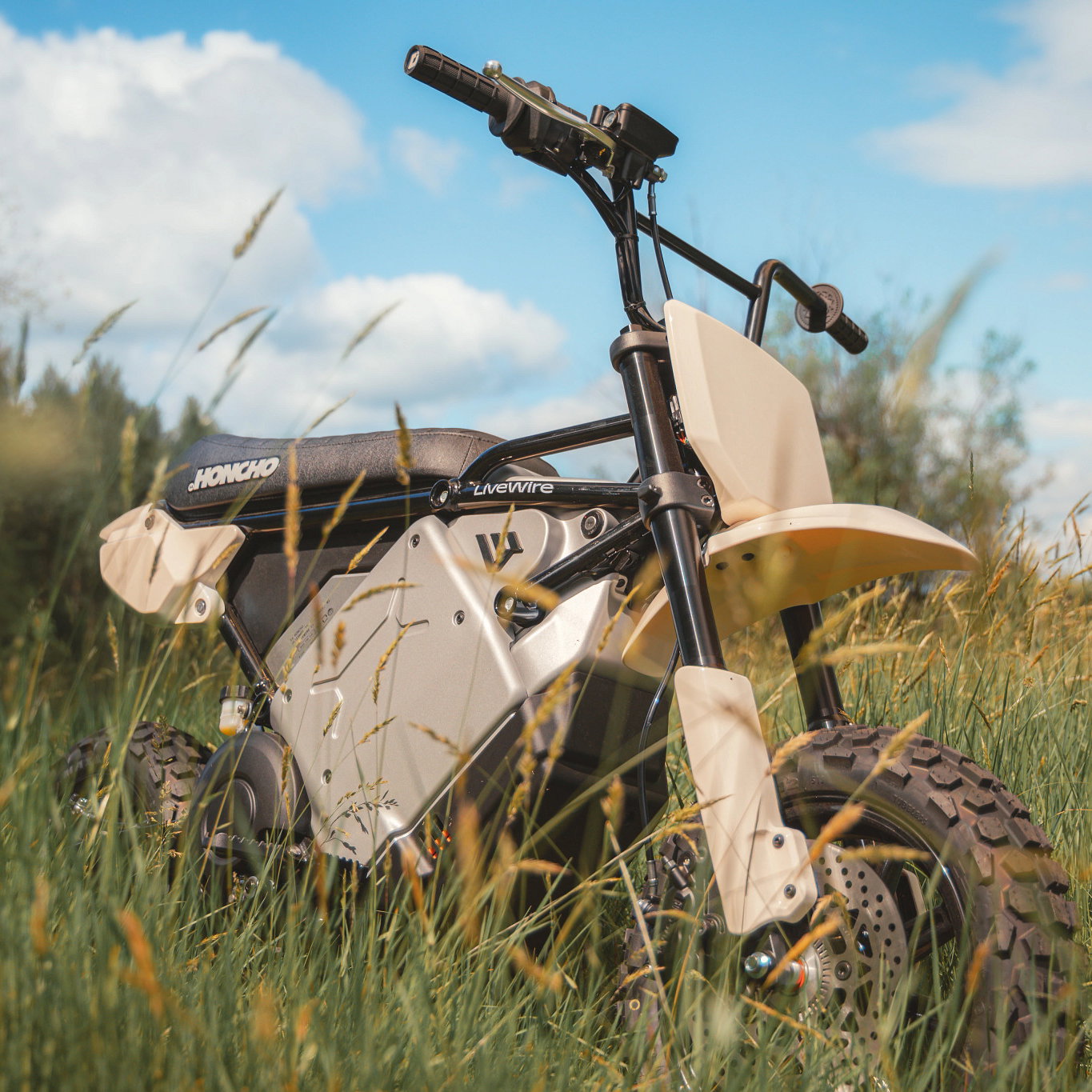 The LiveWire S4 Honcho Trail