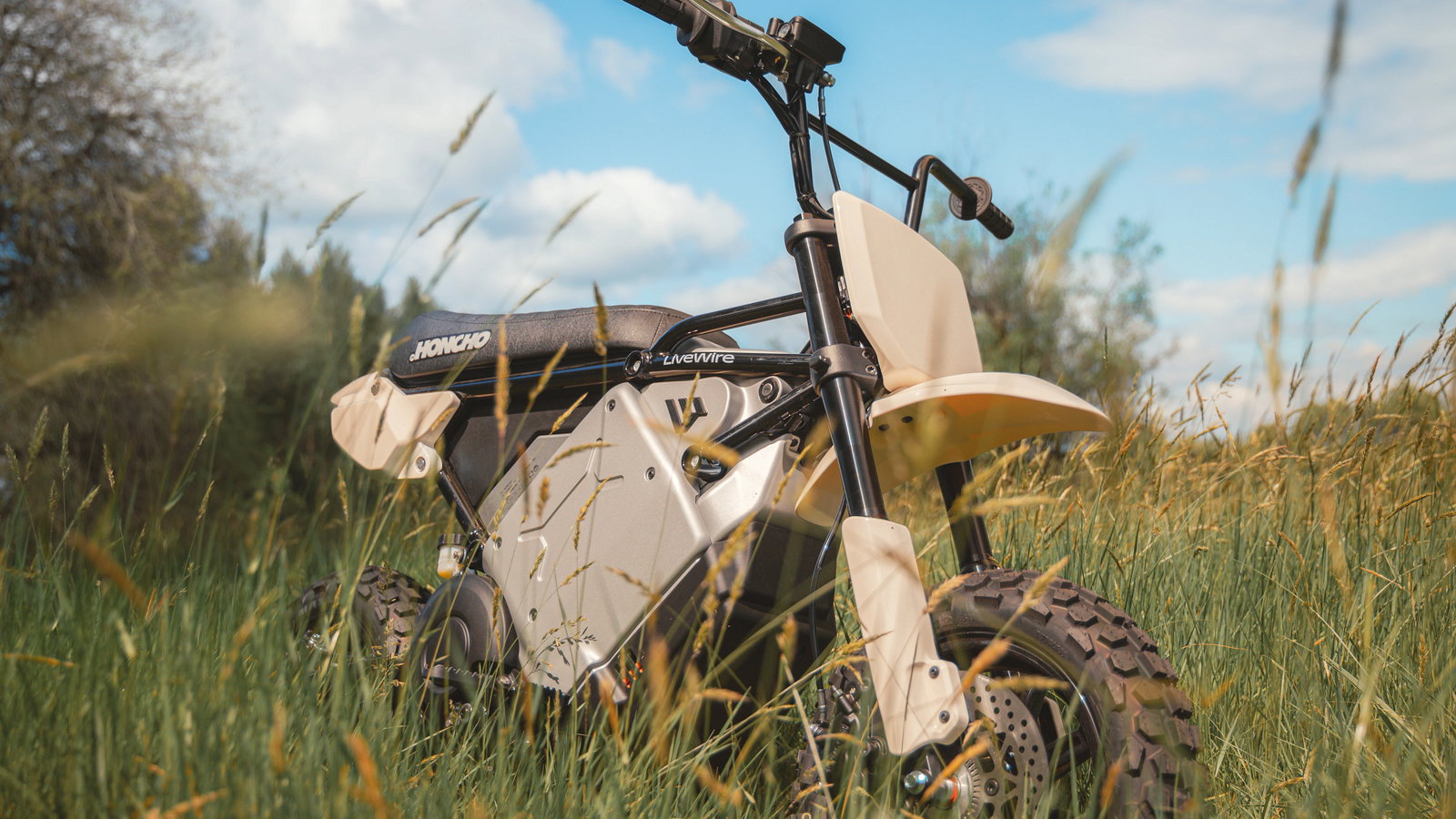The LiveWire S4 Honcho Trail