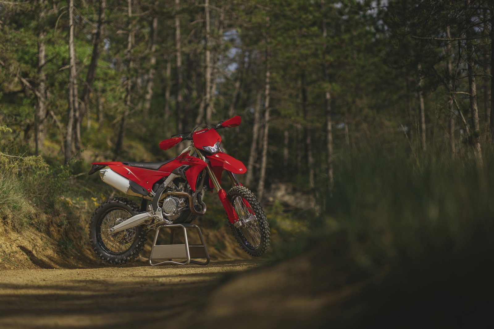 the Ducati Desmo450 EDS - static