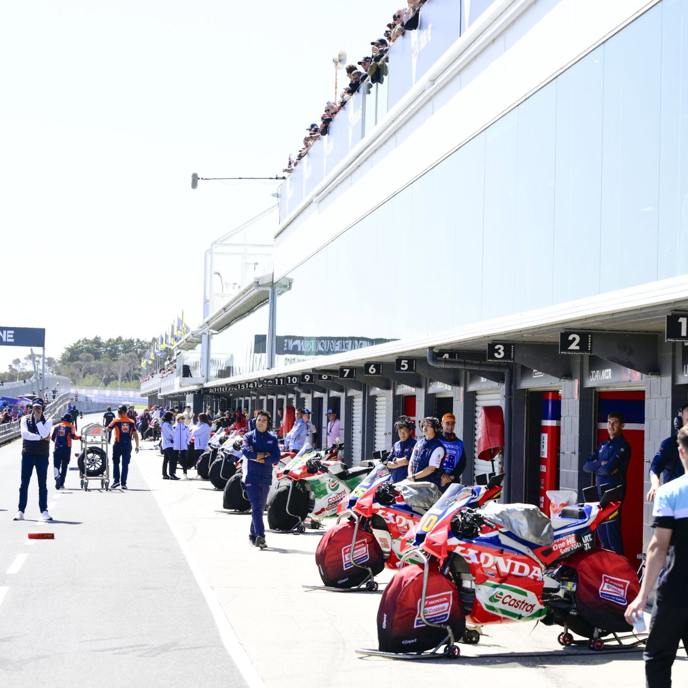 MotoGP bikes in pit lane at Phillip Island. Credit: Gold and Goose.