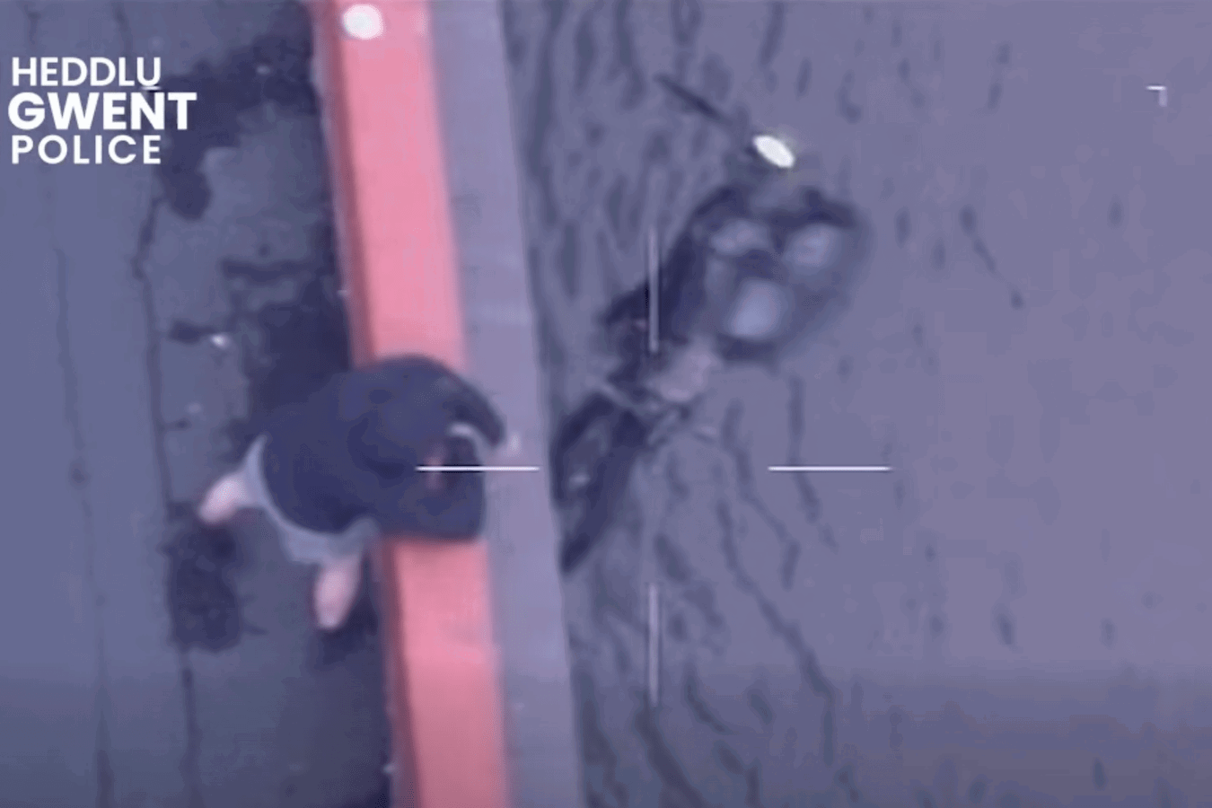 A man throwing an electric motorcycle off a bridge and into a river