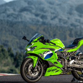 Used Test: Kawasaki ZZ-R600 | Visordown